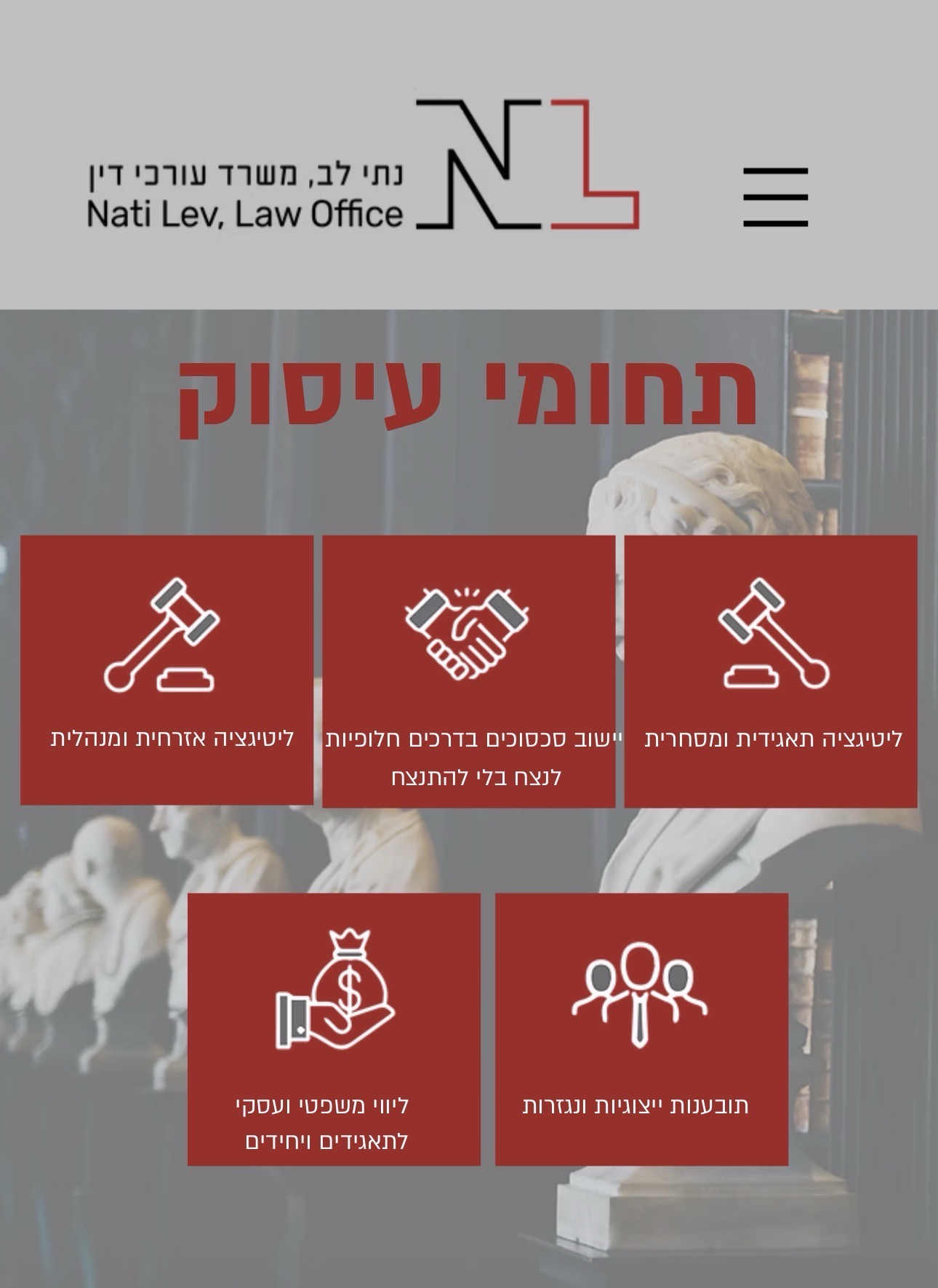 צילום מסך האתר